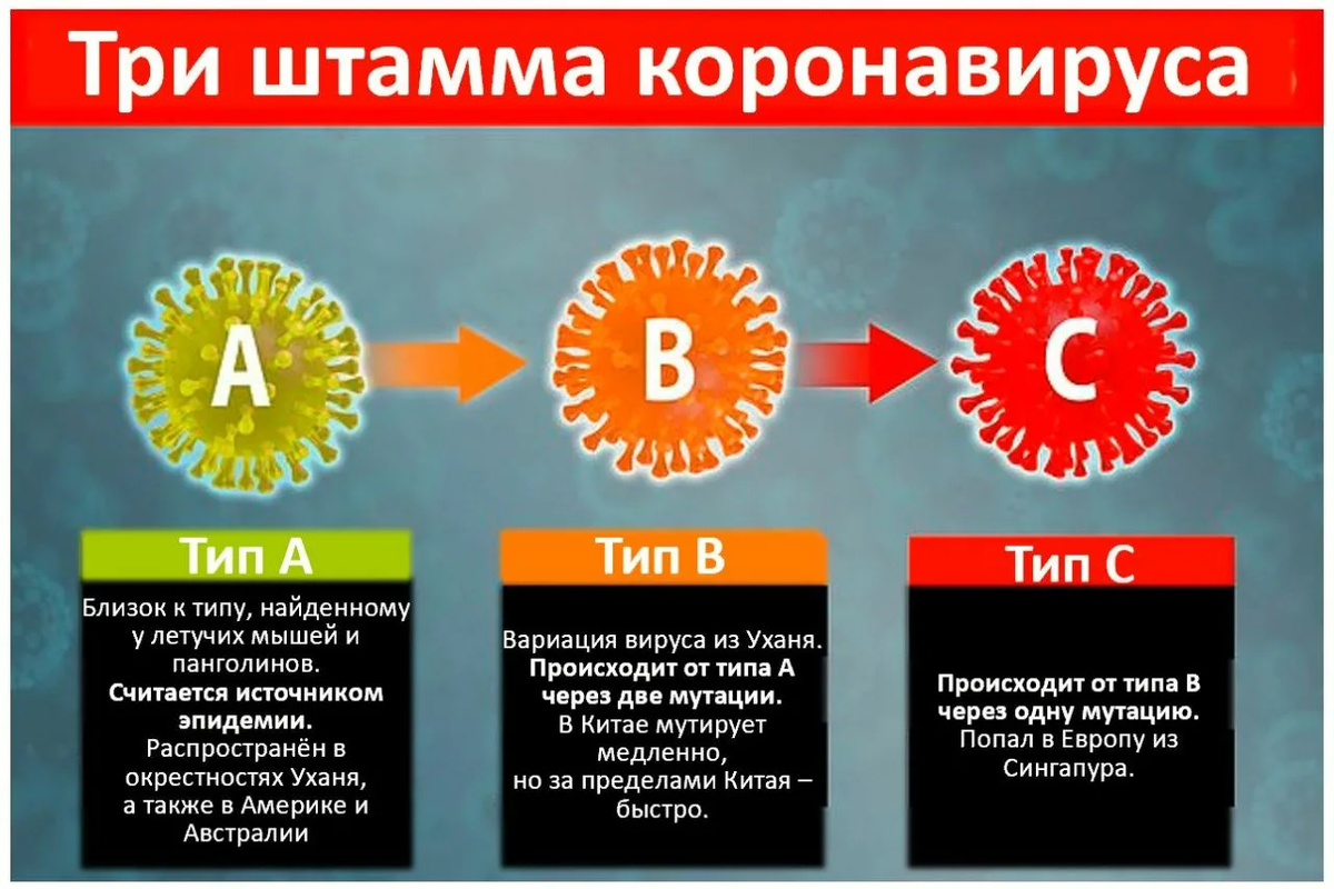 Коронавирус какие штаммы