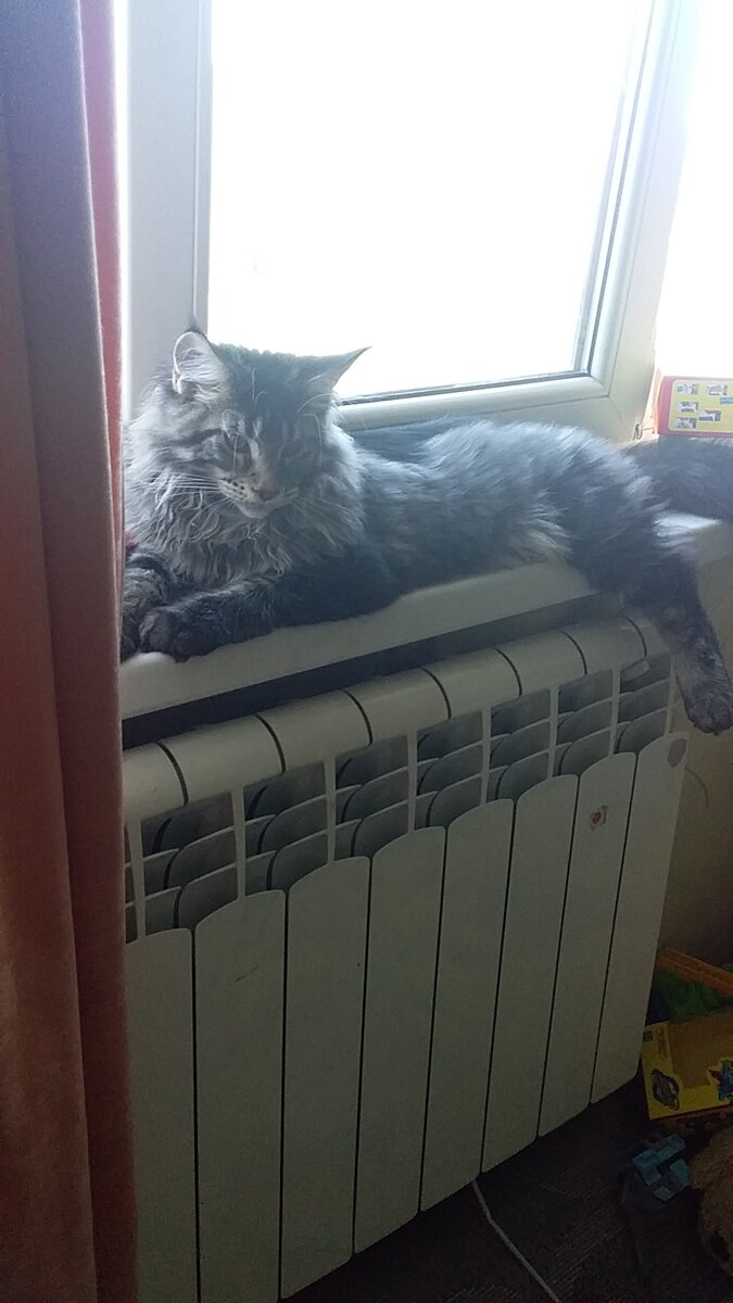 5 месяцев Ваське