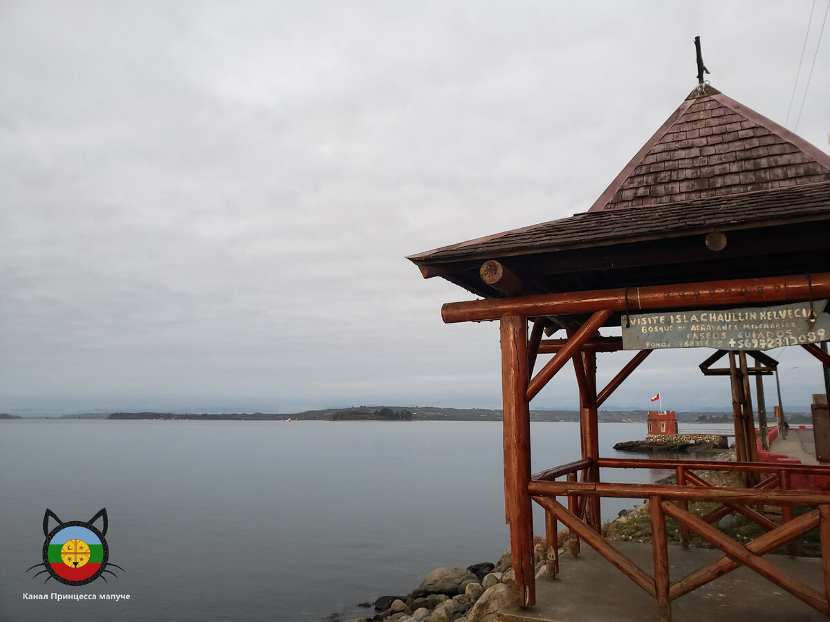 Рэйчел хаус моана. Зачарованная 2007 эми адамс. Ты принцесса мем. Принцесса св трусах с али икспреса. Энни лейбовиц рапунцель.