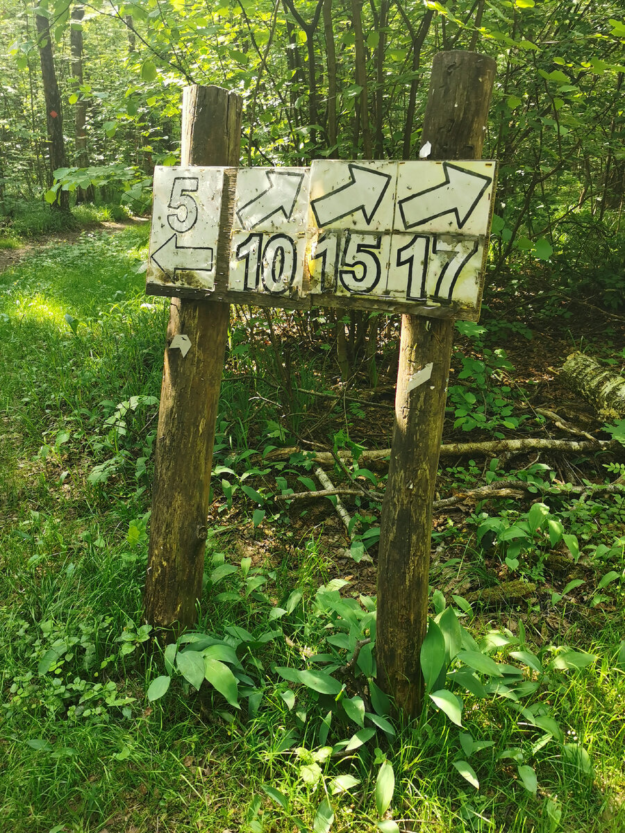 Трассы размечены, все понятно