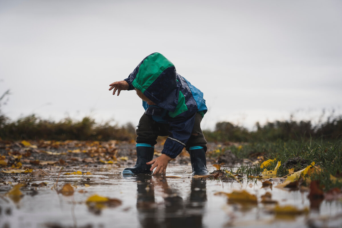 Cold september. Холодная погода фото. Холодная погода. Аниматика окатили лужей. Сентябрь холод.