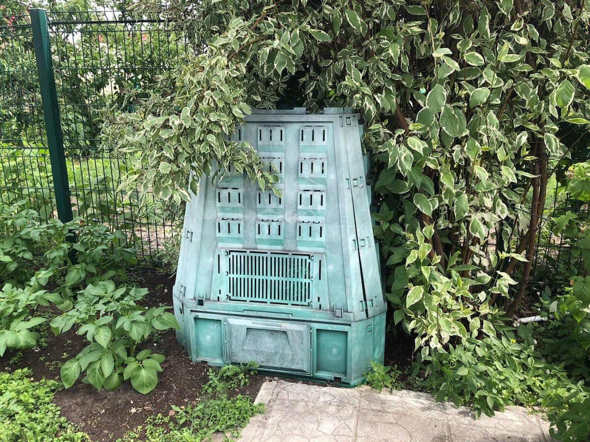 Этому контейнеру уже 8 лет