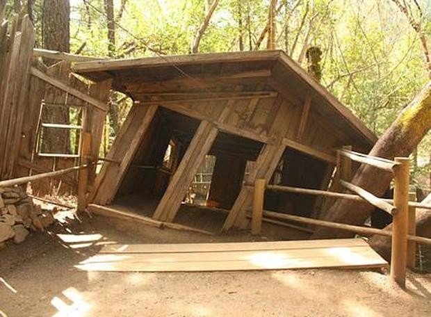 Фото взято из общего доступа в сети интернет