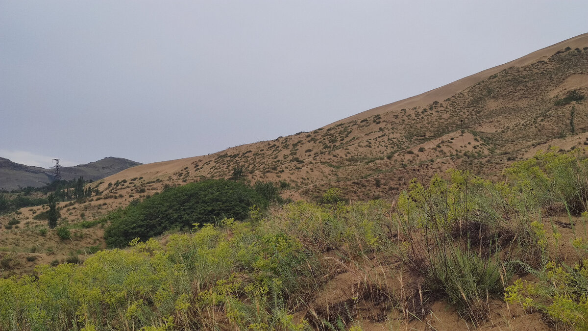 Бархан Сарыкум. Дагестан