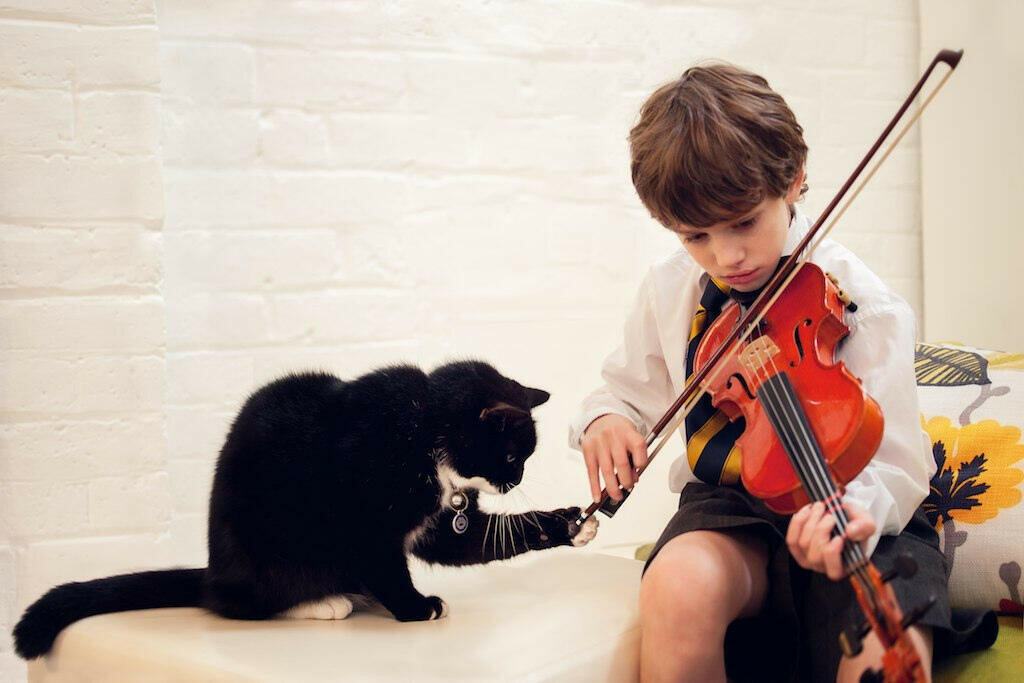 Воспитать музыканта. Мальчик со скрипкой. Музыкальные инструменты для детей. Скрипка для детей. Маленький скрипач.