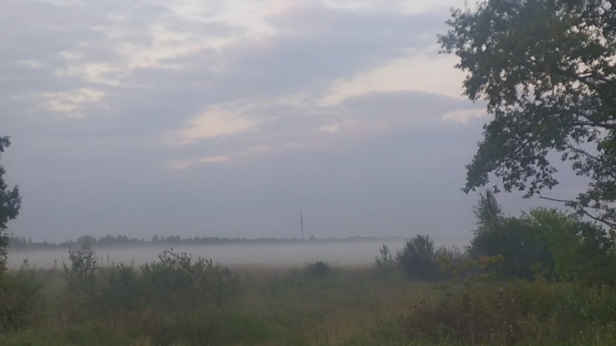 Утренняя туманность