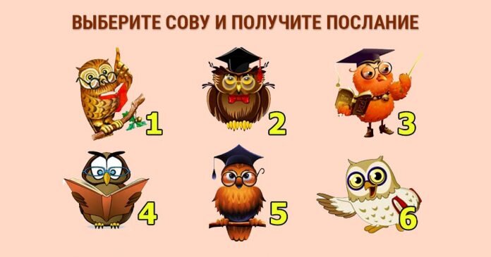 Изображение взято с открытых источников