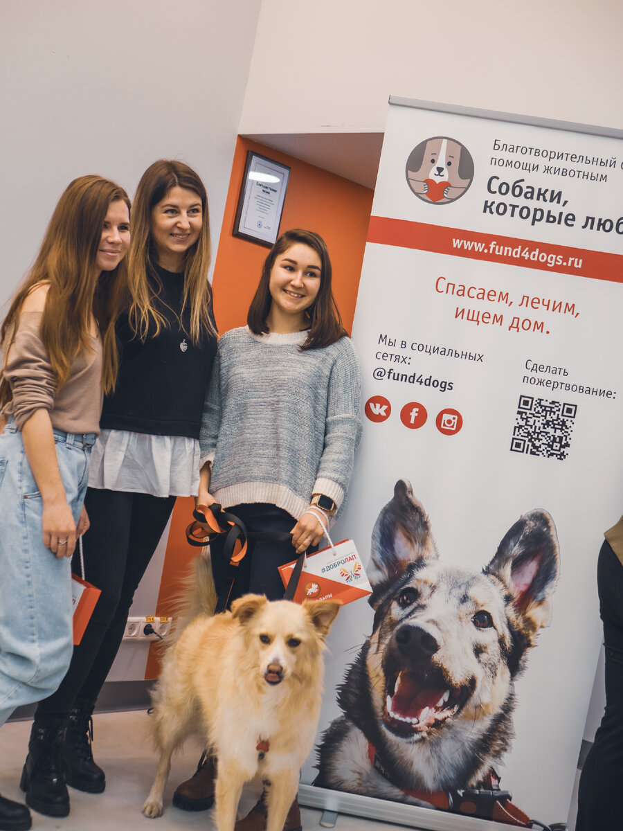 Фото- собственность канала