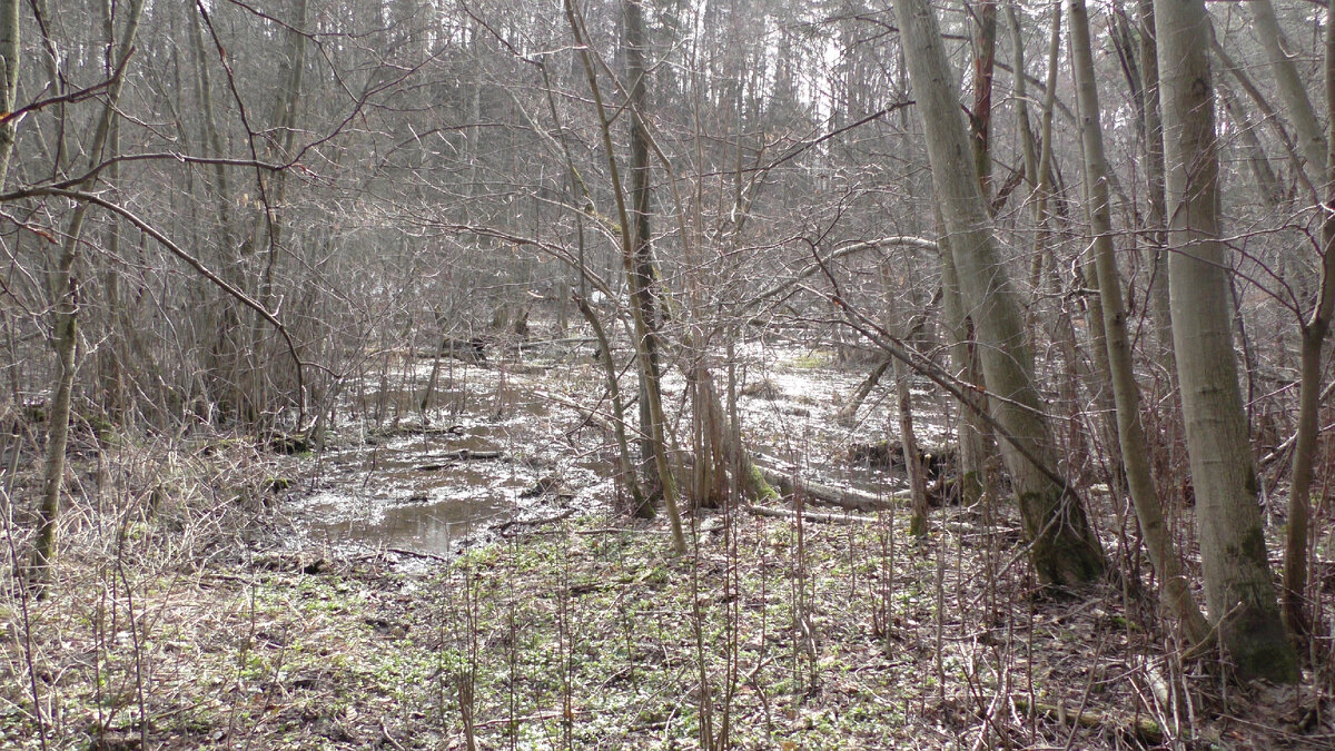 Река "Вороний брод"