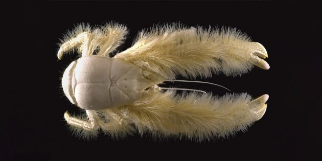 Изображение: Mandy Jouan / Flickr📷
