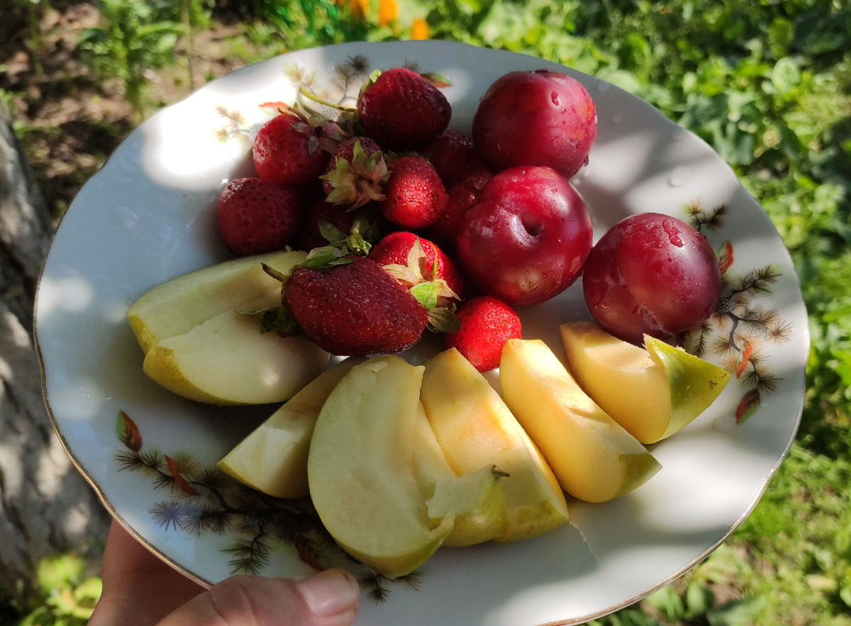 Яблоко, сливы, клубника. Клубника уже своя.