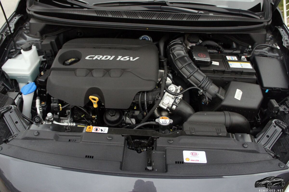 фото https://kia-ceed.net/