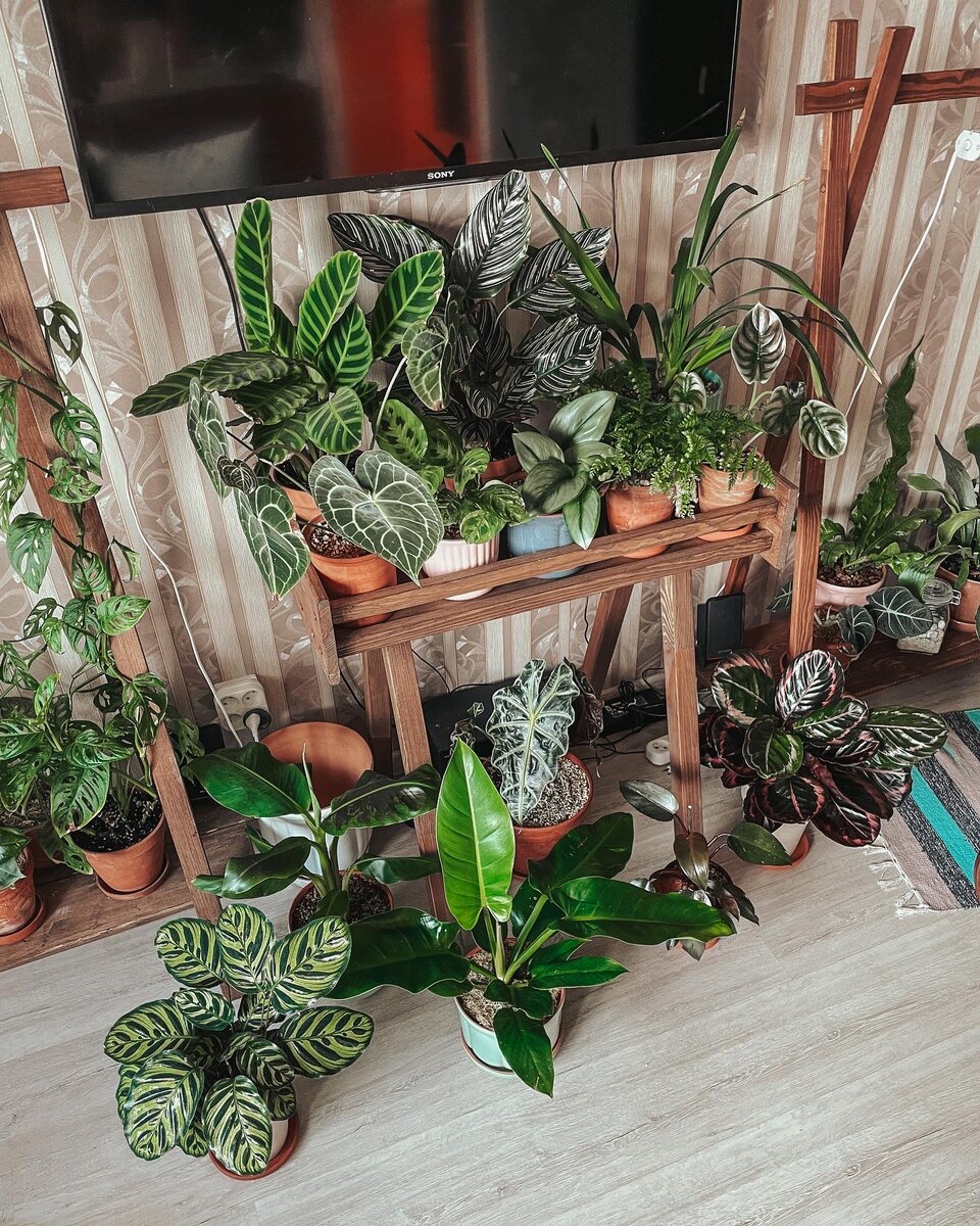 фото 2