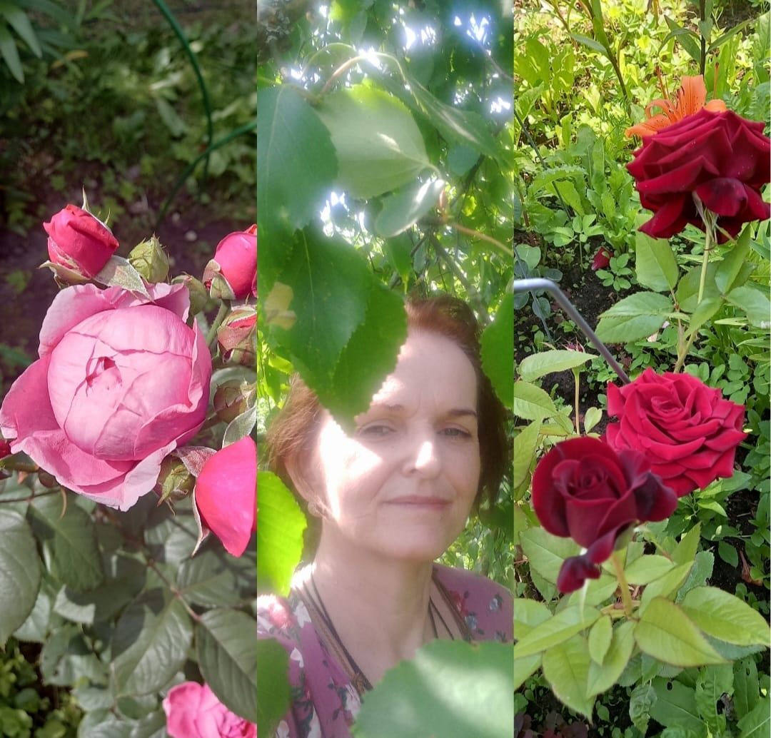 Цветочница анюта сыктывкар. Прага в розах