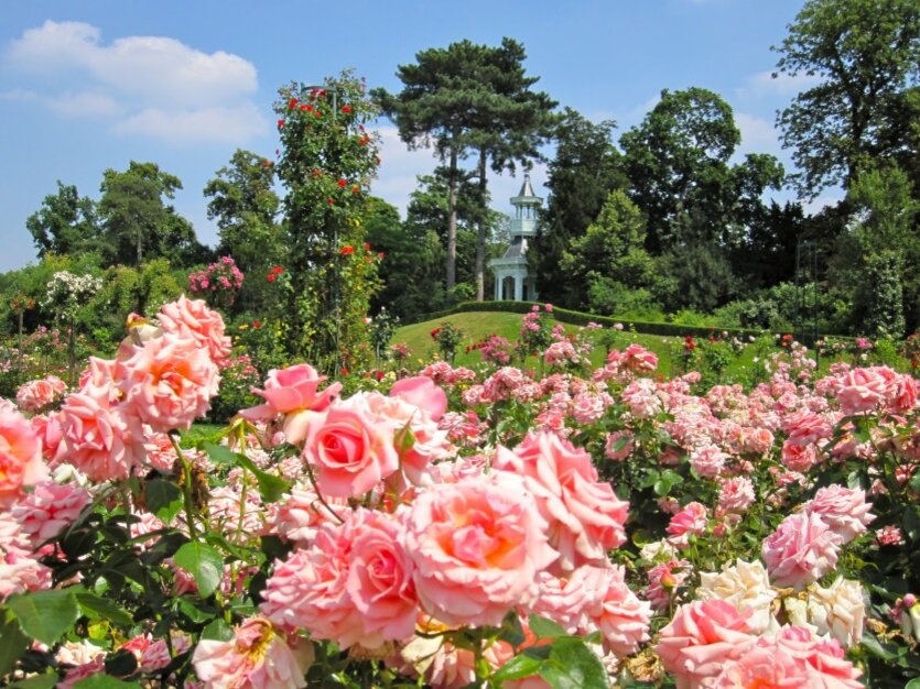 В Архангельском. Фото из свободного доступа