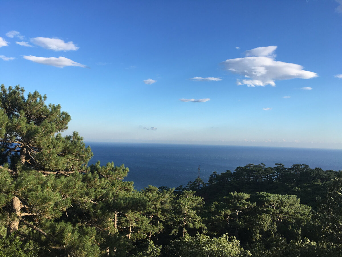 Вид на море по дороге Ялта - Алушта