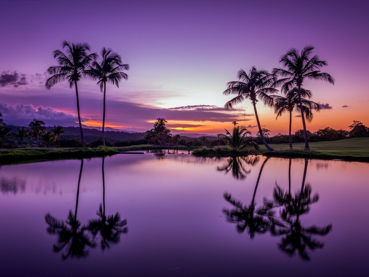 Карибское море. Остров Пуэрто-Рико. 