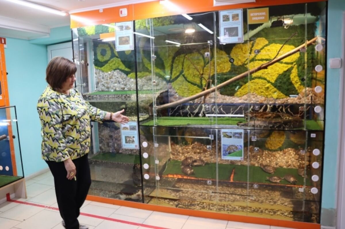    Покупка фильтра позволит поселить в омском акванариуме «Наутилус» новых рыб