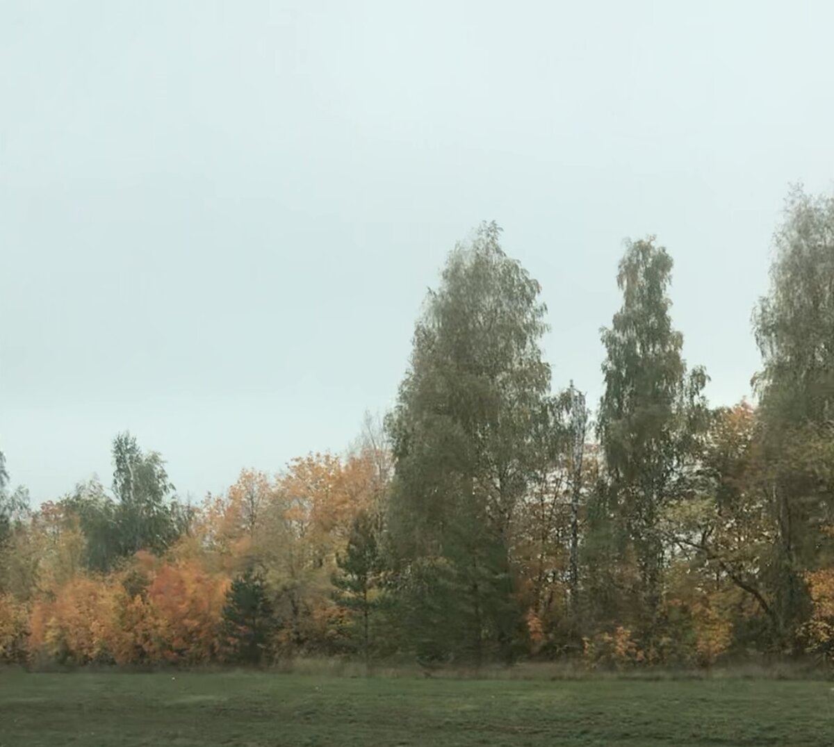 Все фото Автора канала.