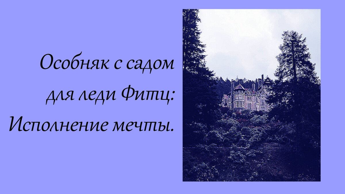     Моя мечта наконец-то сбылась. Долгие годы я откладывала практически все заработанные деньги на ее воплощение. Преподавателю школы для благородных девиц, живущему при школе нужно не так уж много.