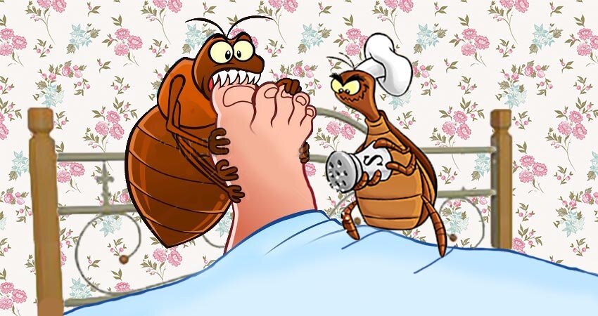 Яндекс.Картинки.