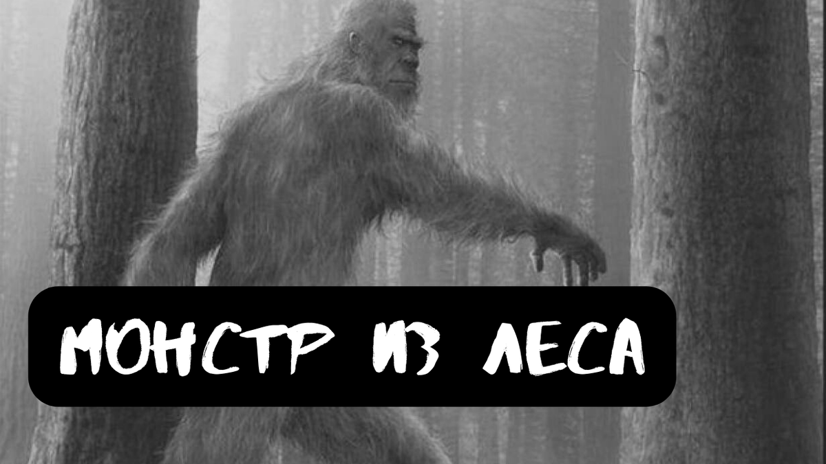 Не забудь подписаться, поставить лайк и написать все, что ты думаешь об истории и ее героях в комментариях