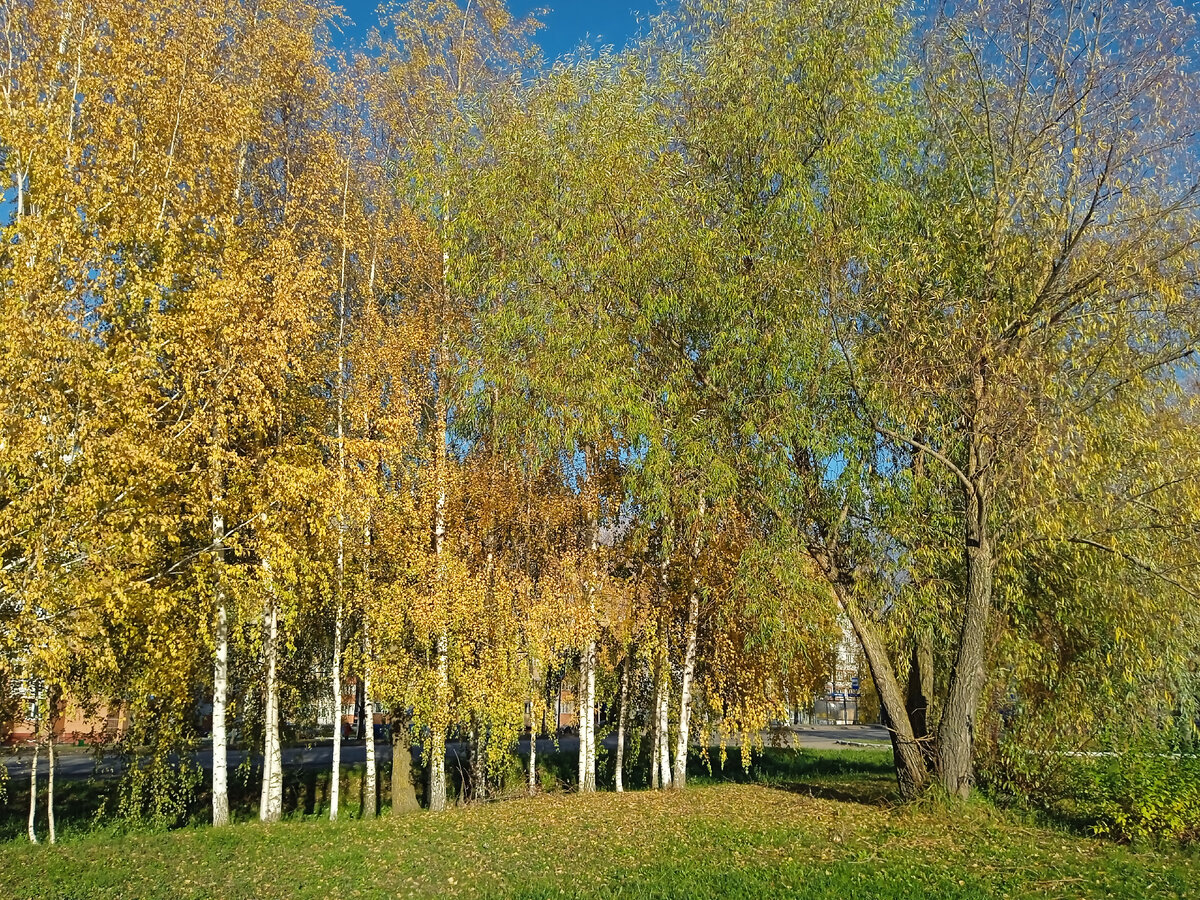Фотография сделана мной. 