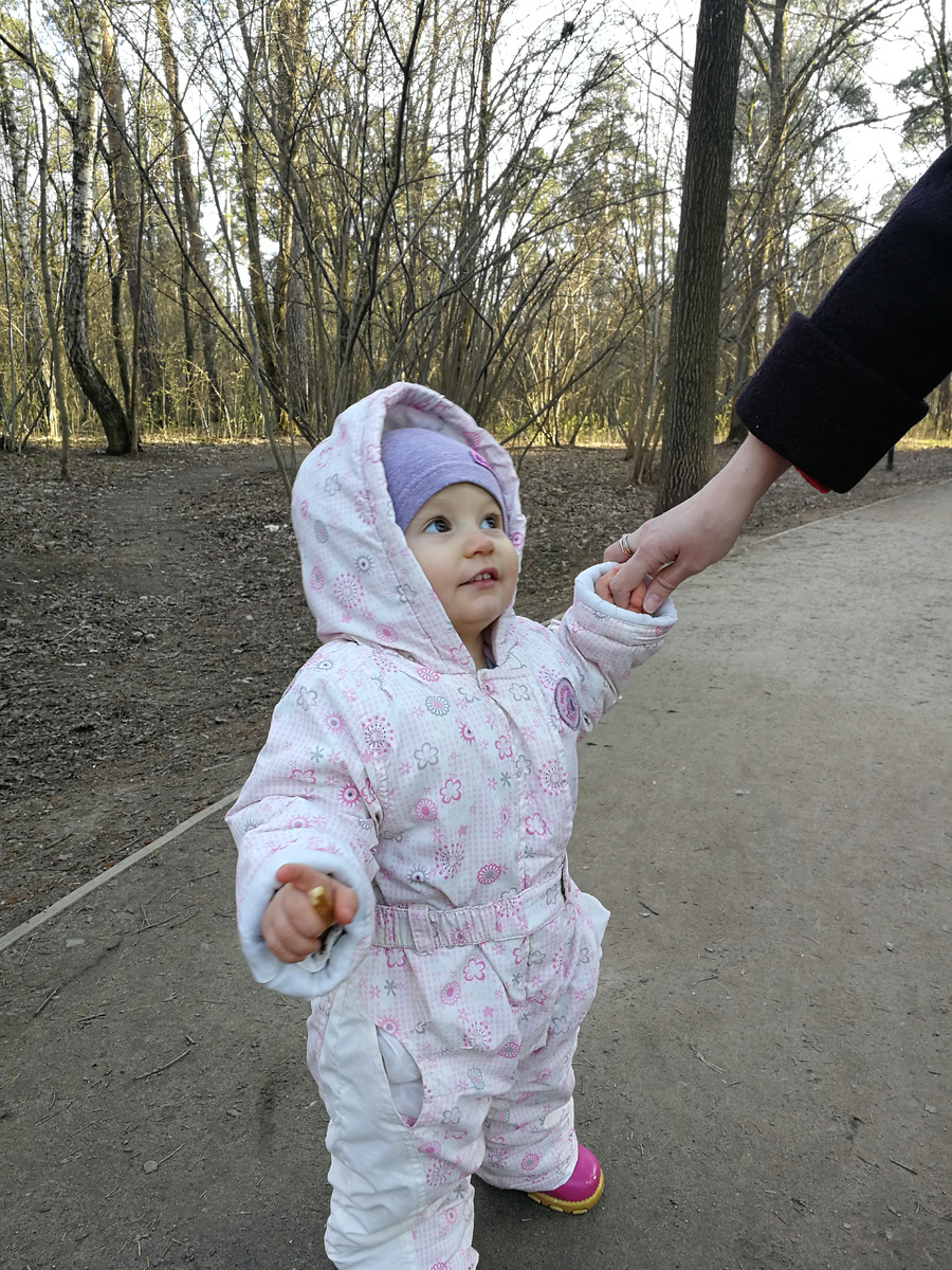 Первые шаги