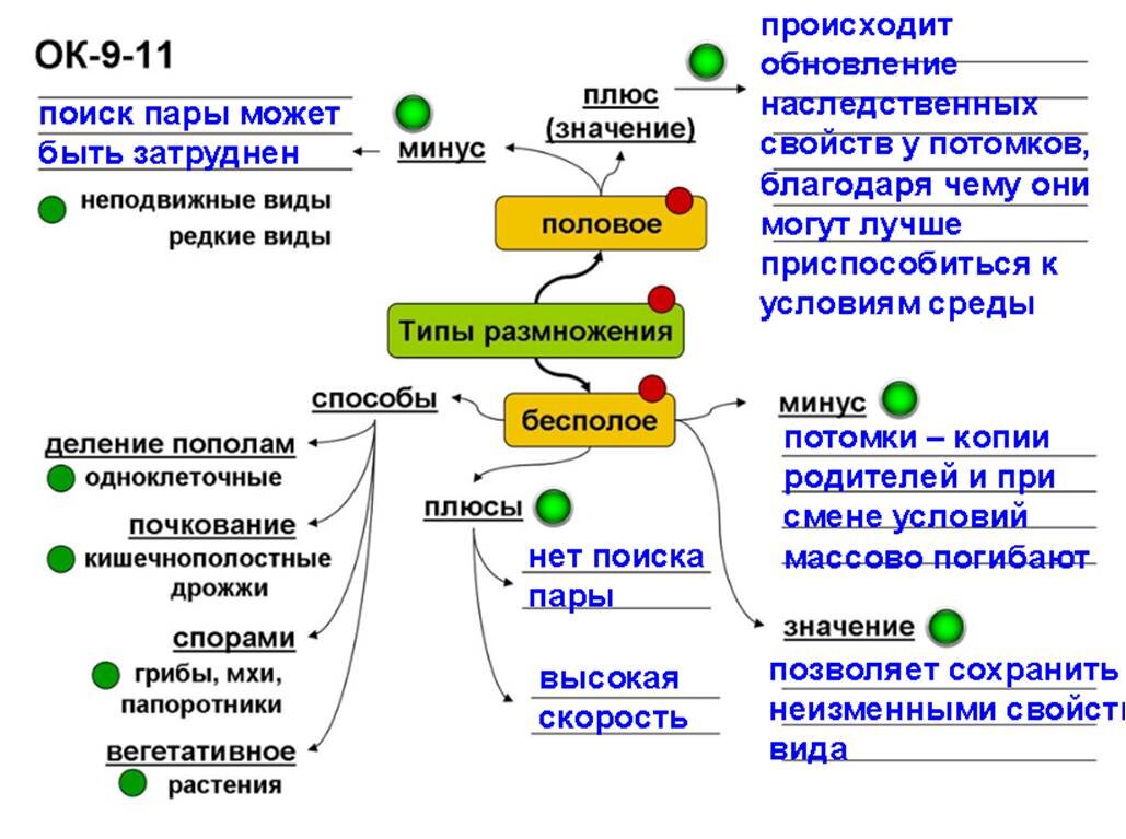 Таблица по биологии типы размножения Характеристика размножения способ размножения установите соответствие Shtampik.c