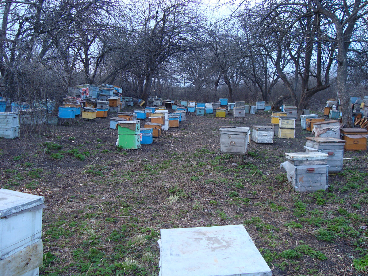 Редкие счастливчики, живущие на своих гектарах