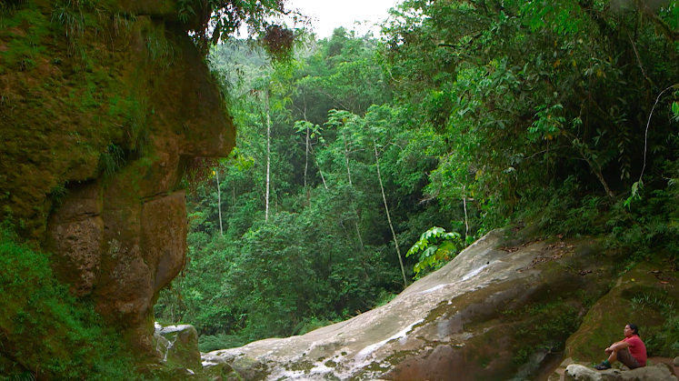 В поисках золотого города: каменное "лицо" в джунглях Амазонии против нефтяной компании