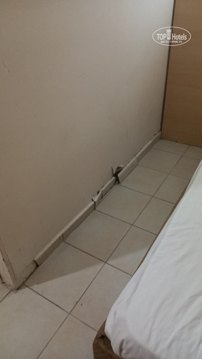 Источник: tophotels.ru