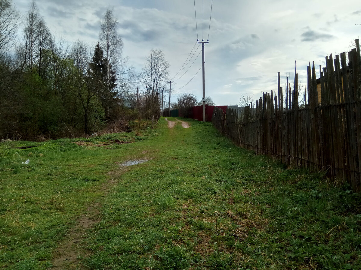 Участок в принципе находится в самой низине, относительно всех соседей