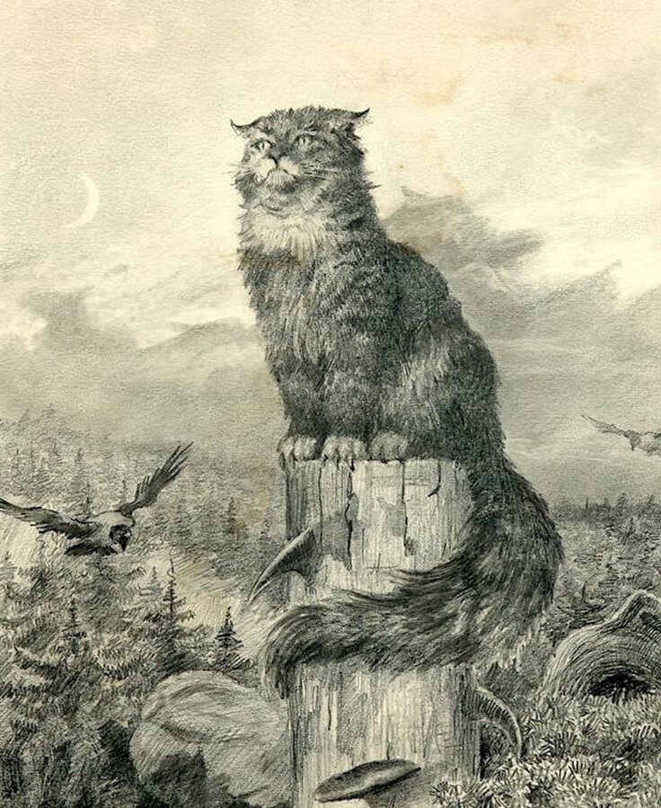 Кошки на руси картинки