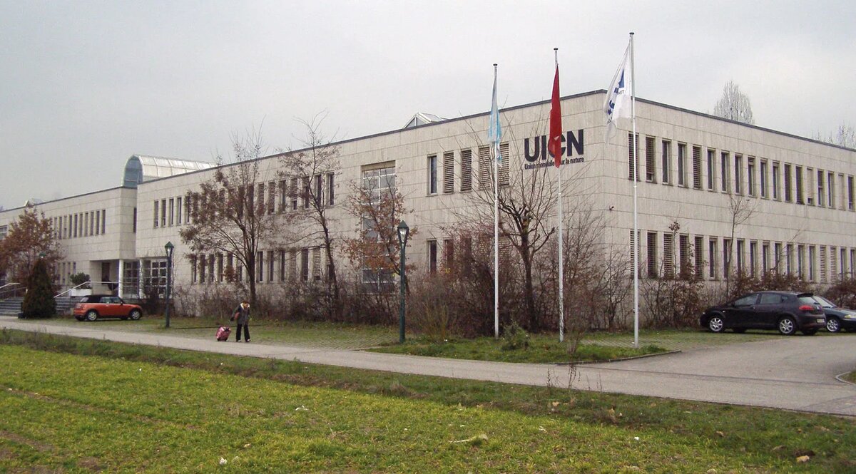  IUCN (International Union for Conservation of Nature)