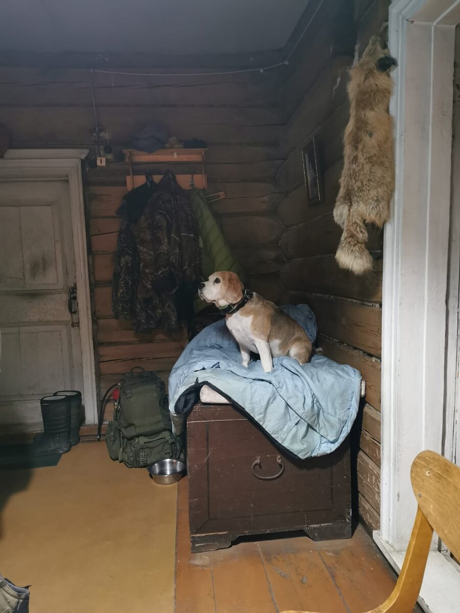 листать дальше ->