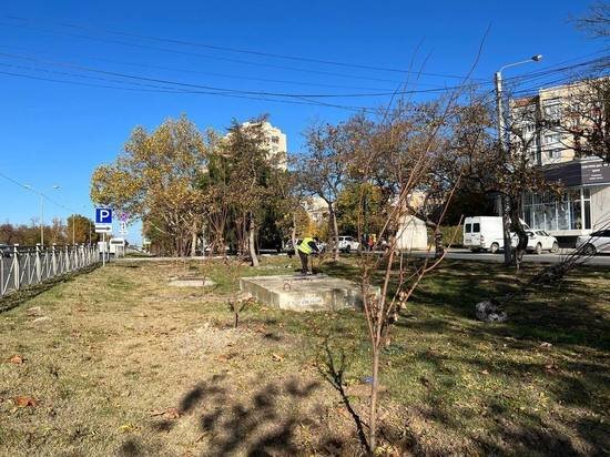     Фото: пресс-служба администрации Симферополя