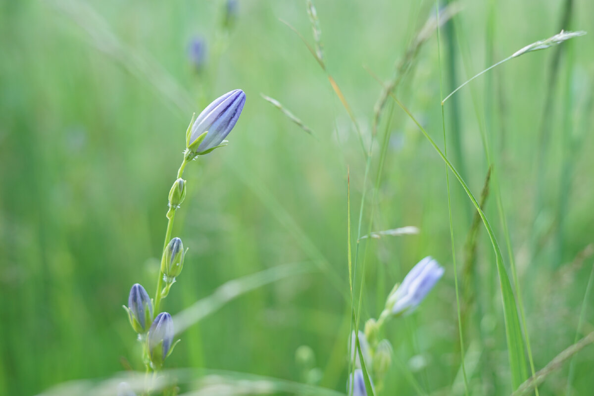 Эмоциональное воздействие используется в рекламе.