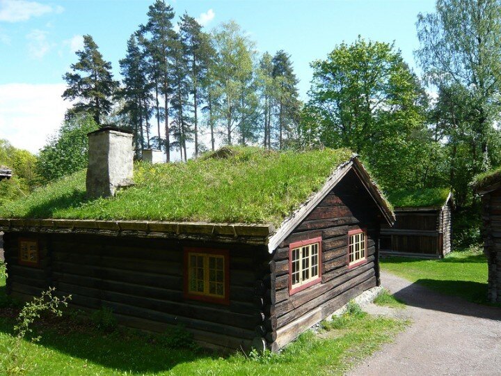Для чего скандинавы обустраивают на крыше дома зеленую лужайку
