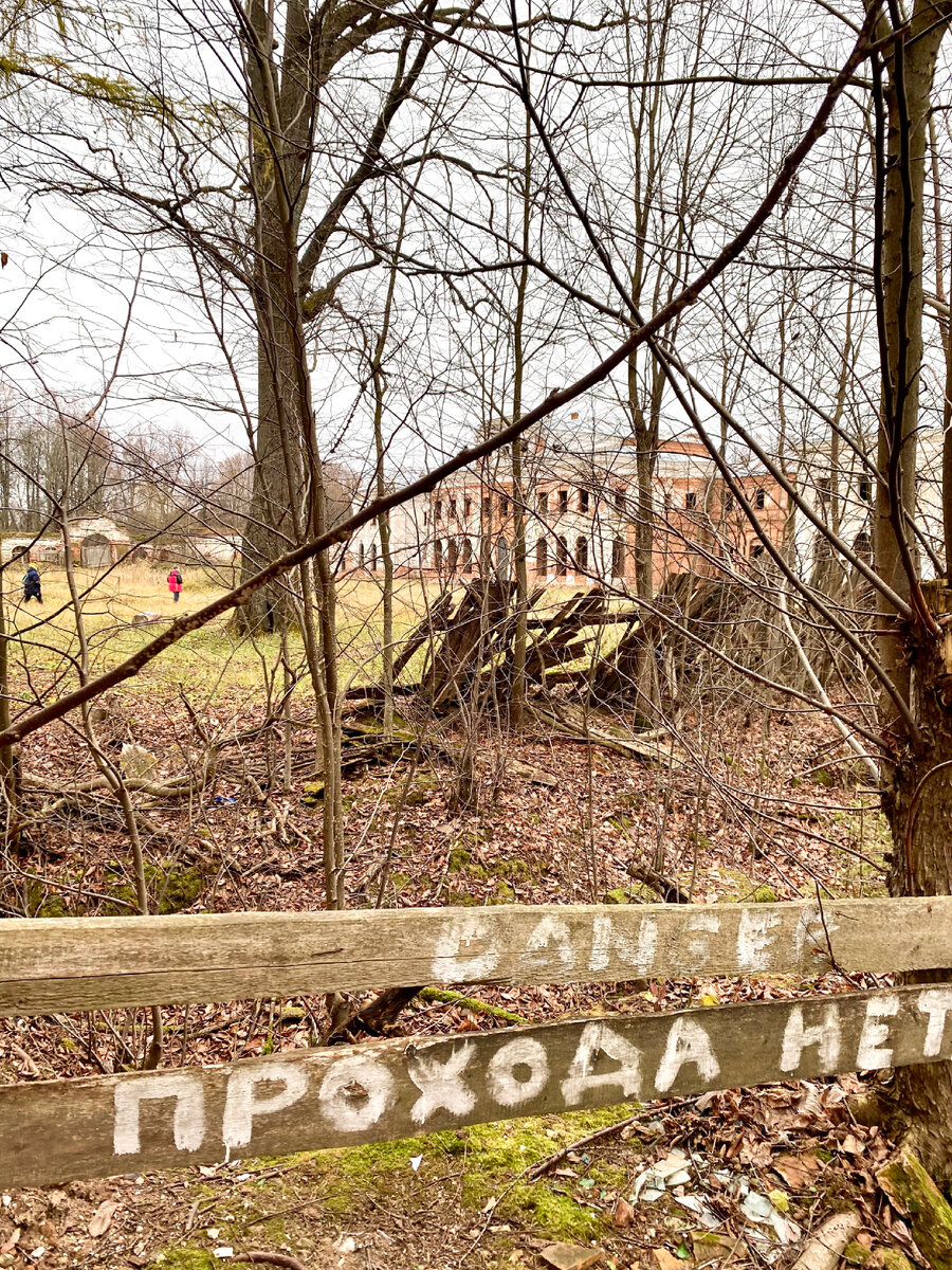 Все фото автора 