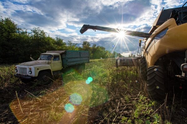 Фото: РИА Новости/Дмитрий Макеев