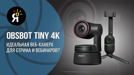 OBSBOT TINY 4k | OBSBOT ME | Светлое PVZ буущее.