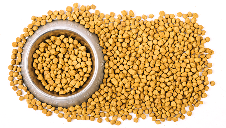 Для собак маленьких пород 
Собакам маленьких пород отлично подходит гипоаллергенный корм 1ST CHOICE HYPOALLERGENIC ALL BREEDS. В нем содержатся самые мягкие ингредиенты, нормализующие работу пищеварительного тракта. В составе корма свежее утиное мясо, пребиотики, витамины, а также экстракт имбиря, снижающий воспалительные процессы в организме животного. Таким кормом можно кормить как взрослых собак, так и щенков.

Еще одно вкусное и полезное лакомство для собак – монобелковый беззлаковый корм с L-карнитином отечественного производства TITBIT. В качестве белка производитель использует мясо одного вида – ягненок, индейка или лосось. Корм из мягких гранул среднего размера содержит целый комплекс полезных минералов и витаминов. Он подходит для собак мелких и крупных пород, а также для питомцев, склонных к ожирению.

Для щенков 
Для кормления щенка отлично подойдет корм класса холистик «Акана». Имеет сбалансированное содержание белков, жиров и углеводов. В составе продукта натуральный животный белок – курица, индейка, ягненок, говядина, субпродукты, морская рыба и другие вкусные ингредиенты. Зерновые культуры заменяют бобовые – фасоль, чечевица, горошек. В составе корма нет искусственных компонентов.

Еще один гипоаллергенный корм, рекомендованный для кормления щенков, а также собак старшего возраста – «Биофуд» из линейки супер-премиум класса. Он изготавливается из экологически чистых и натуральных продуктов, содержит в составе натуральное мясо, субпродукты, фитоэлементы, витамины и минеральные комплексы. 

Как выбрать качественный корм для собаки-аллергика 
При выборе корма для собаки-аллергика нужно изучать состав продукта. В нем не должно содержаться потенциально опасных компонентов, вызывающих аллергию у животного. 

При покупке корма также следует учитывать породу и возраст животного. Производители выпускают промышленные составы для кормления собак крупных и мелких пород, для щенков, для беременных и стерилизованных животных. Определить, для кого подходит тот или иной корм, можно по маркировке на упаковке продукта. 

Самые полезные и безопасные корма для собак-аллергиков – холистики, содержащие в составе исключительно натуральное мясо, пробиотики и пребиотики, нормализующие работу ЖКТ у собаки. Некоторые производители добавляют в состав холистиков дополнительные ингредиенты, безопасные для животных (фрукты, овощи, ягоды, полезные травы). Главное, что этот корм не содержит искусственных добавок и потенциально опасных ингредиентов, которые могут вызывать аллергическую реакцию у животного. 