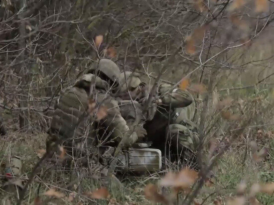     фото: кадр видео. источник: соцсети.