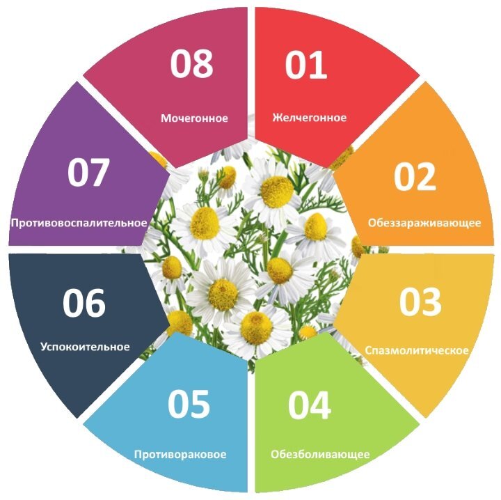 Фото из сети интернет, свободный доступ.