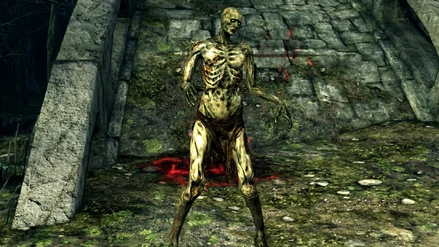 Полый пленник (правда без меча, но ладно...)). Изображение из открытых источников.