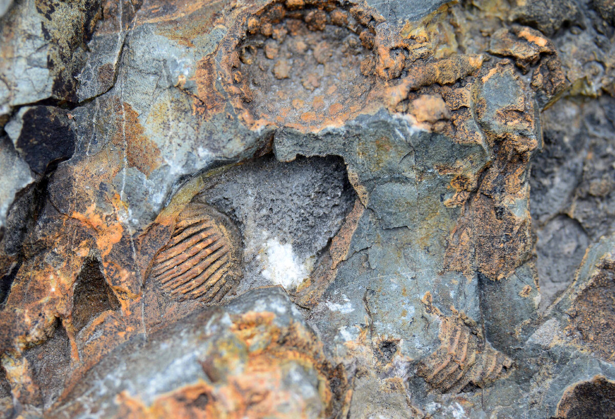 Фото Ольга Шадрина