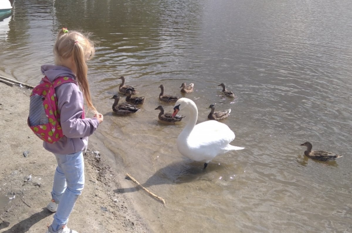    Ростовская область вошла в ТОП-5 самых популярных направлений для отдыха