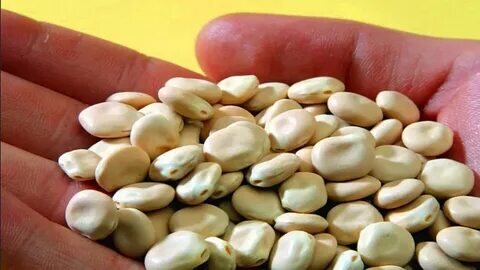 Фото с сайта: https://avatars.mds.yandex.net