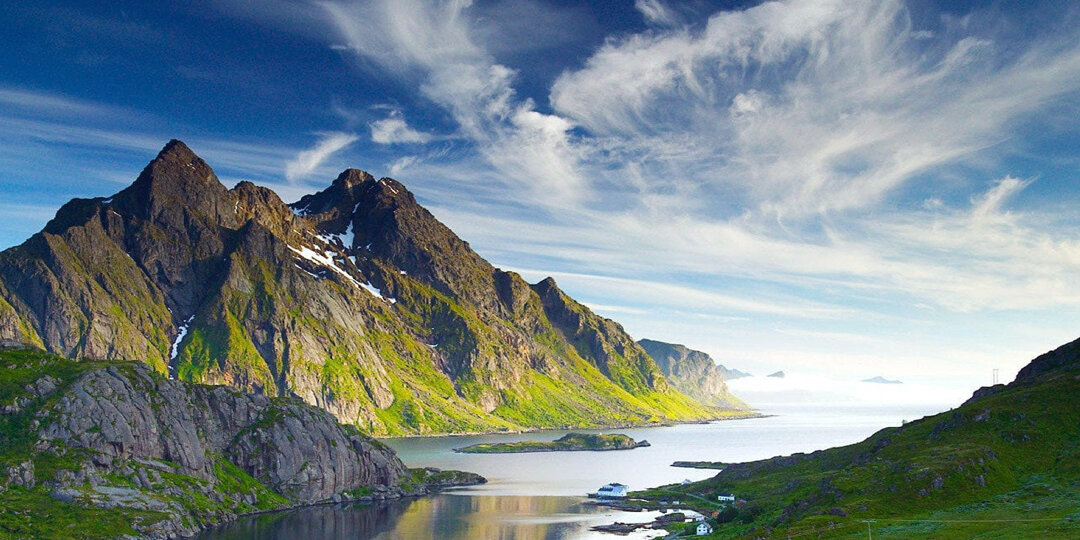 Это чудо-растение растет в основном в горах